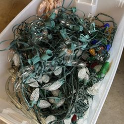 Christmas Lights 