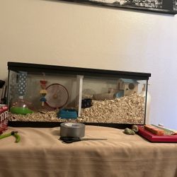 Small Critter 20 Gal Tank And Supplies