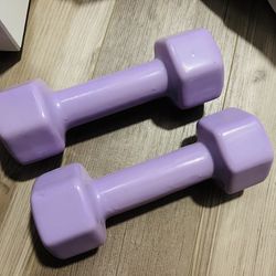 6 Lbs Dumbbell set Of 2 Purple 