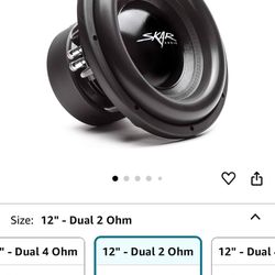 12" Skar Subwoofers + Speaker Box