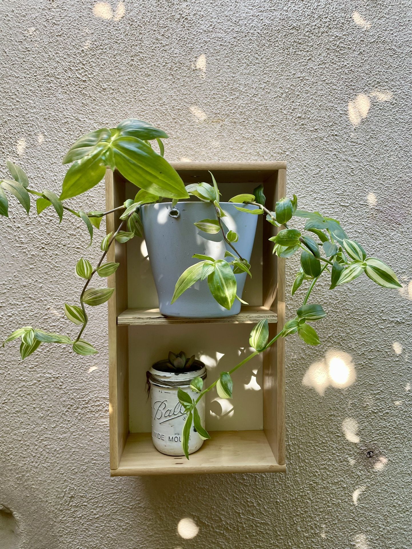Small Wall Shelf