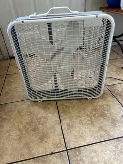 Fans