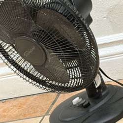 Fan 