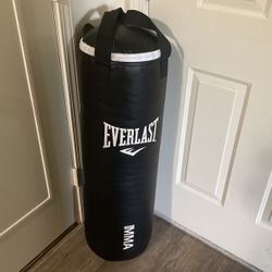 Everlast Punching Bag 