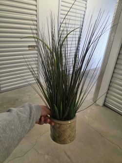 Faux Plant