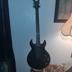 Schector Six String Solid Body Guitar