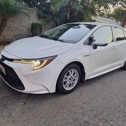2021 Toyota Corolla