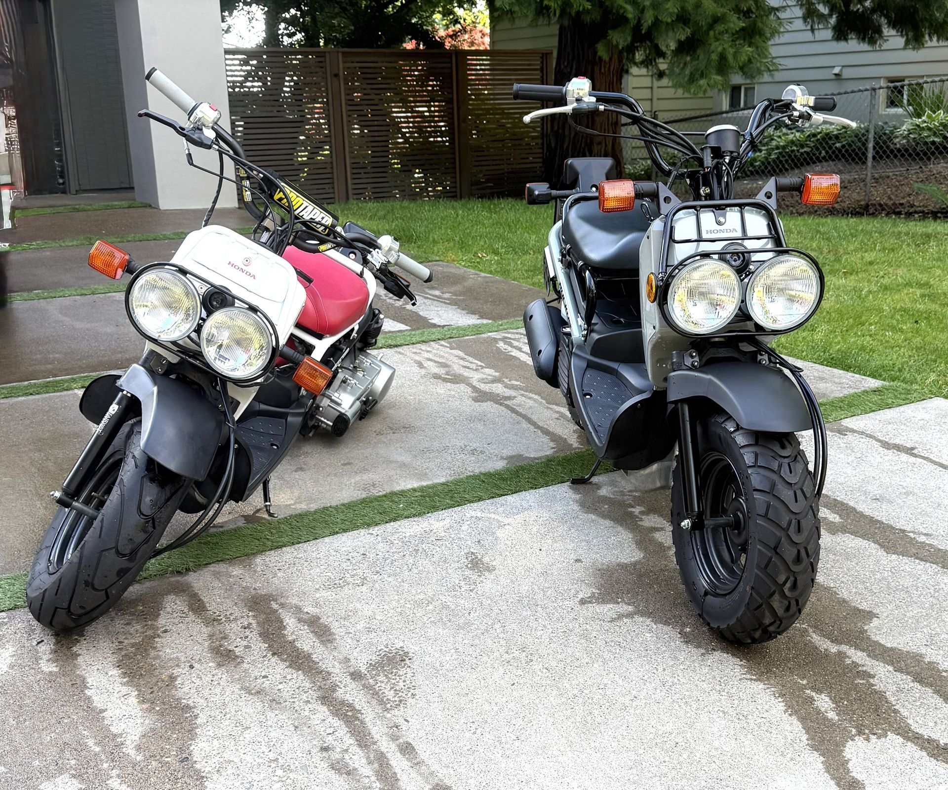 Honda Ruckus 2014 and 2022