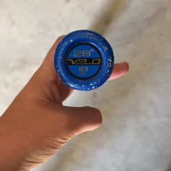 rawlings 28 inch bat