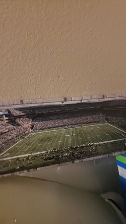 Century link field