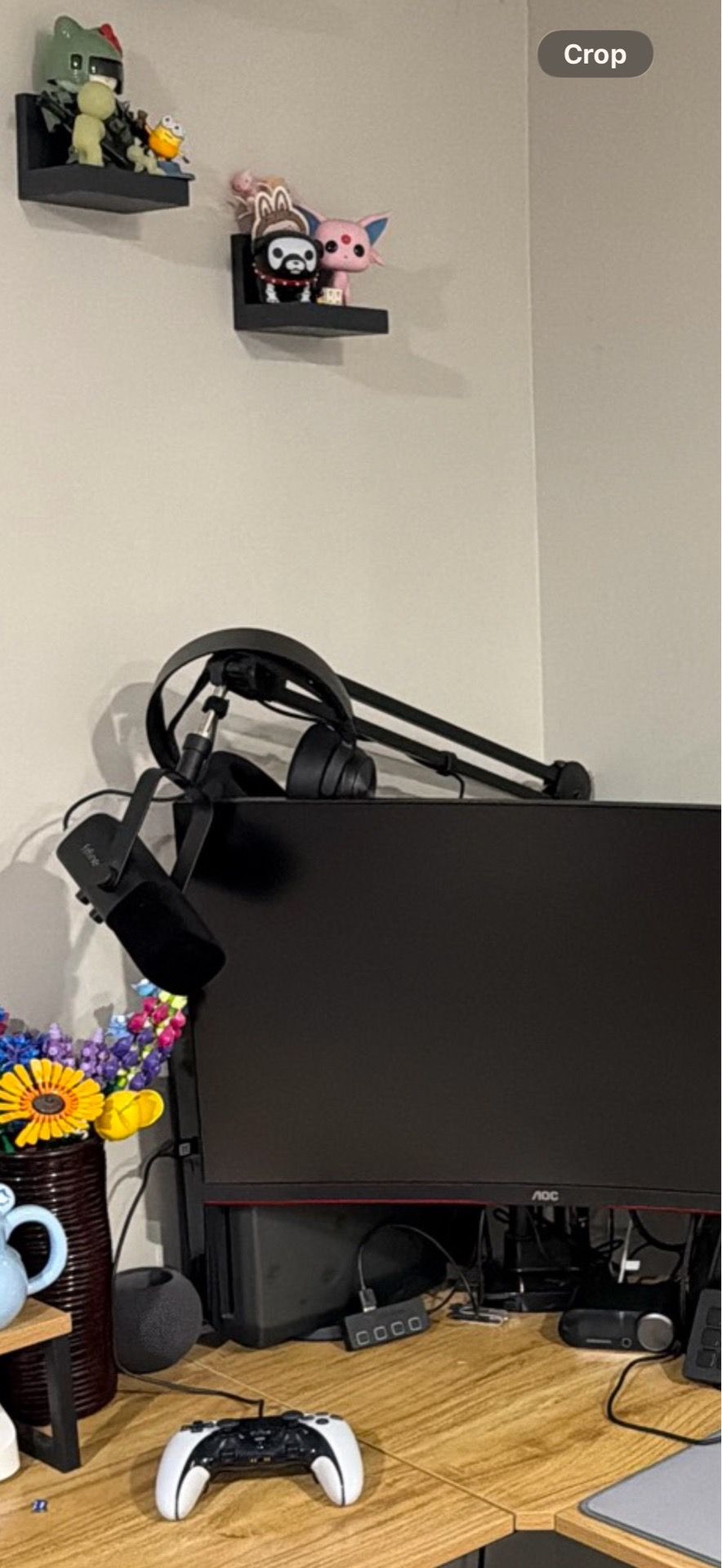 Fifine Am8 mic with boom arm (no headset)