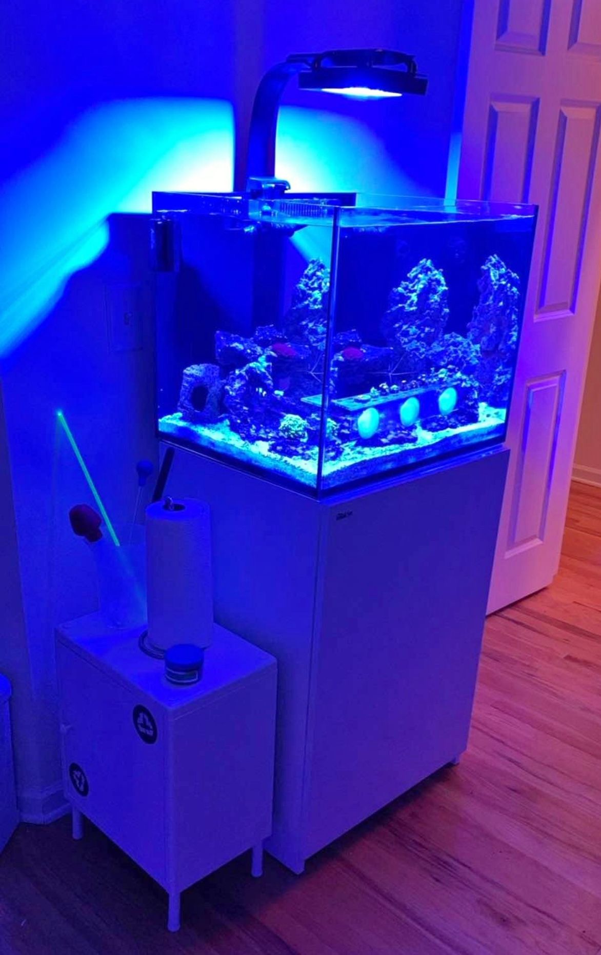 RedSea Reefer 170 + EcoTech Radion XR 15 Blue
