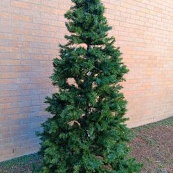 Pino De 7 Ft 
