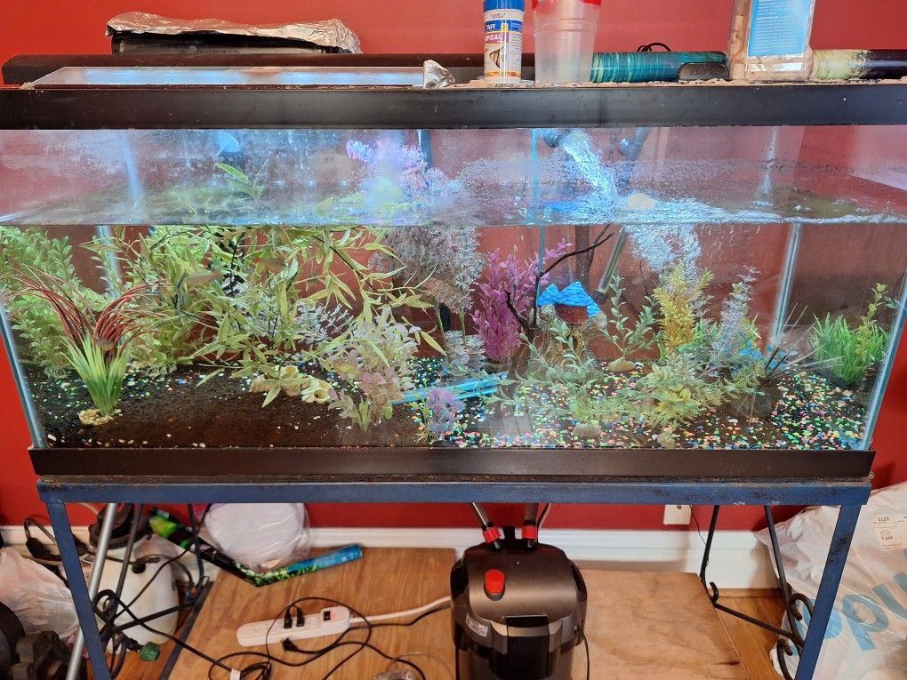 75 Gallon Fish Tank Everything Included!