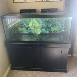 75 Gallon Aquarium With stand and accessories