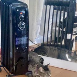 Space heater