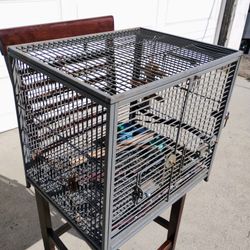 Birdcage's 40$ each