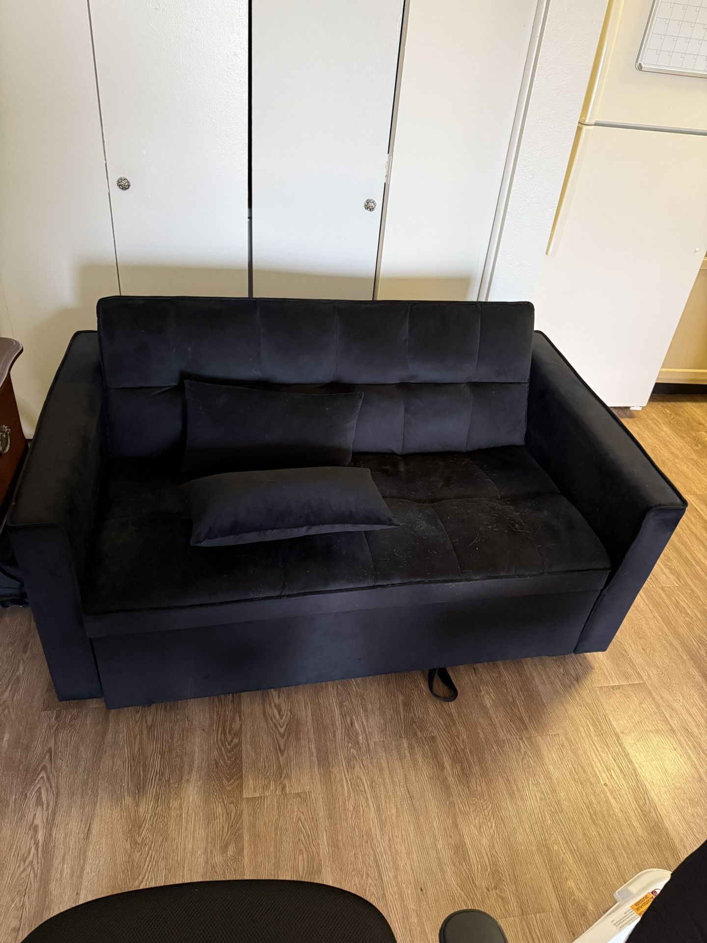 Couch with Pull Out Trundle