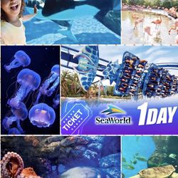 Sesame Place/ Seaworld 