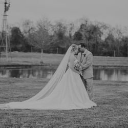 Wedding Veil 