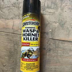 14 oz. Foaming Wasp and Hornet Insect Killer Aerosol Spray