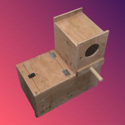 african grey/ amazonian parrot nest box 