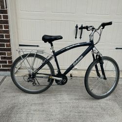 Bike - Adult Size
