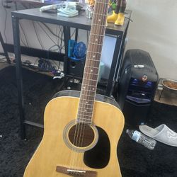 Guitar 