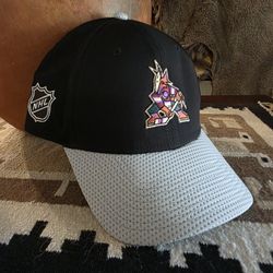 Arizona Coyotes Utah Mammoth Hockey Club 2023 Global Series Fanatics Hat NEW 