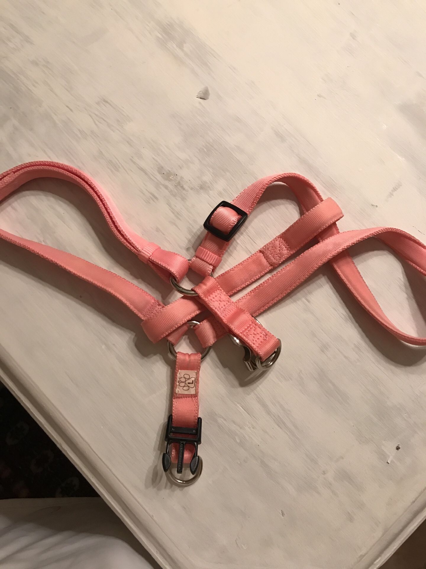 Training dog adjustable collar harness