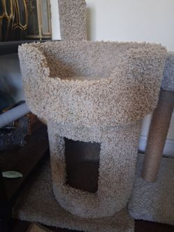 Cat Scratcher