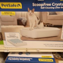 Cat Litter Box Never Open