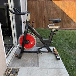 Sunny Exercise Bike