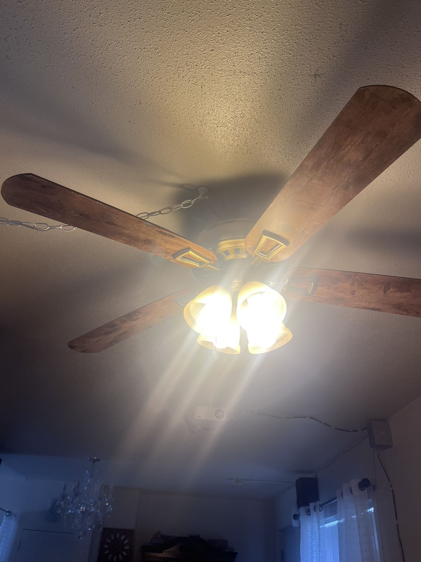 Ceilings Fan