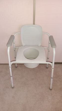 Potty Chair
