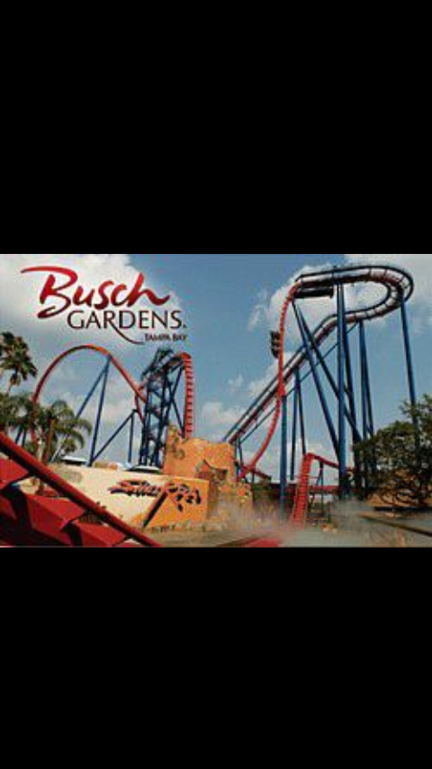 busch gardens quick queue busch gardens quick queue