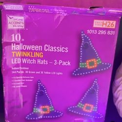 Halloween LED Witch Hats (2 Boxes / 6 Hats Total) – Twinkling Lights  Home Accents Holiday 10” Halloween Classics Twinkling LED Witch Hats.