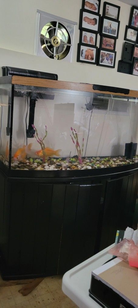 75 Gallons Aquarium For Sale