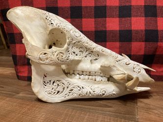 Balinese Carved Boar Skull