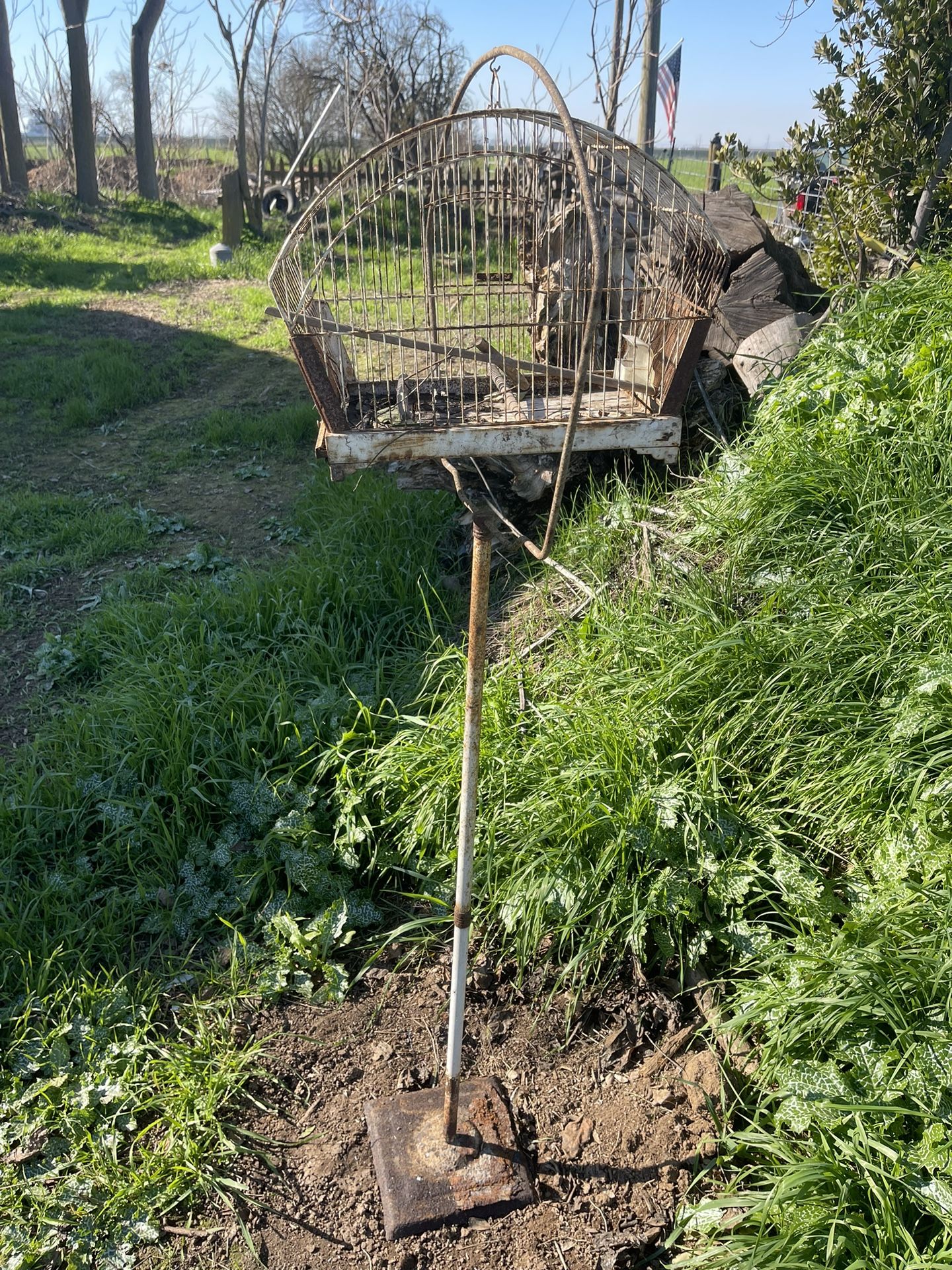 Antique Birdcage