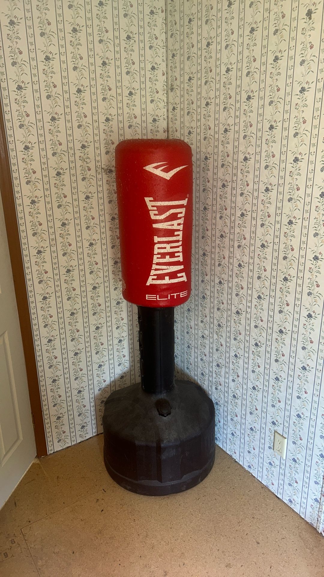 Everlast Punching Bag