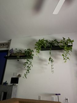 Black Floating Shelves