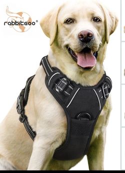 Rabbitgoo Dog Harness with 2 Leash Clips No- Pull Reflective Vest for Large Dogs