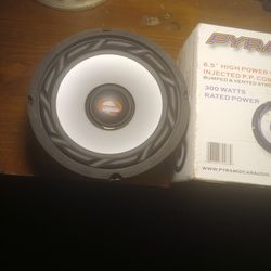 1New Pyramid WX65 X6 5 High Power Whie Cone Woofer Sub