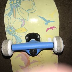 Skateboard. Great shape