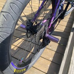 Cream Bomma 27.5