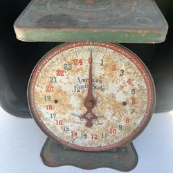 Vintage American Family Scale 