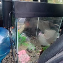 complete nice square fish tank