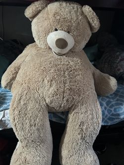$30.00 4’ft Big Bear