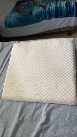 Wedge Pillow. New.